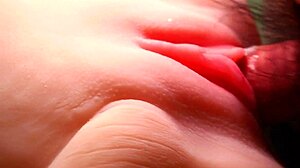 Fucking Shaved Fuck Doll Double Penetrates Huge Pussy Close-Up