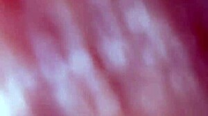 he massages my legs begging for pussy then steals buttplug stuffs his ass to harden dick