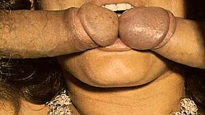 vintage retro clip shows one hairy mouth handling two cocks in bisexual threesome