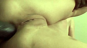 damn amber rayne that brunette pornstar teasin big black cock before ridin anal ass to mouth cumshot!