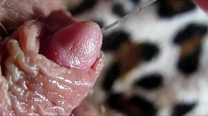 huge clit throbs in orgasmic close-up spasms