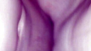 chimuelate rubia super golosa craves blonde sex