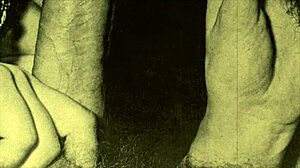 vintage retro clip shows one hairy mouth handling two cocks in bisexual threesome