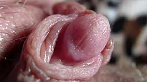 huge clit throbs in orgasmic close-up spasms