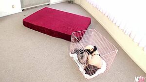 Shiori Aiuchi Serves Master's Creampie Cowgirl Ride