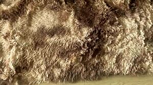 imagine that monster cock facial dripping down goth tits