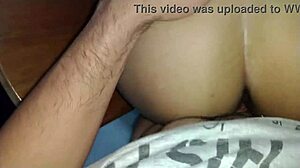 a luna loves small cocks cuz they don't hurt her big pussy much right?