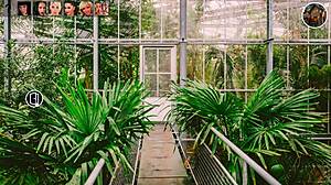 wanna play house where shemales deepthroat monster cocks anally?