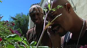 i'm in this wild interracial orgy with ebony bbc pounding models wet asses