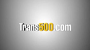 tranny bounces on monster cock anal assfucking deep