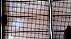 Hermana, why you shaking that ass like tu erk for me?