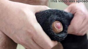 this towel hides my massive monster cock cumshot explosion!