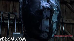 beauty locked in cage shaved cum hole begging exposure