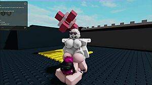 Perritas, beg for my cock and I'll fuck you all hard?