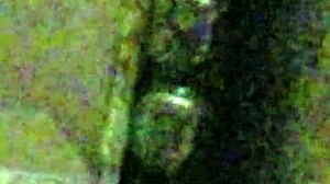 Wife's Tight Ass Pounded Hard in Steamy Anal Session