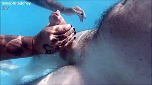 Poolside holiday threesome teases into wet pussy licking and big cock action