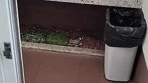 Public Toilet Solo Handjob with Small Cock Masturbation Thrill