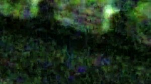 Wife's Tight Ass Pounded Hard in Steamy Anal Session