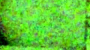 Wife's Tight Ass Pounded Hard in Steamy Anal Session