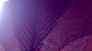 elza kom's nylon tights make you worship her huge curvy ass in leggings!!!