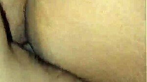 adoro de 4 bent over ebony brazilian big ass doggystyle pounding