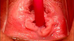 filming my pink pussy close-up till i cum hard