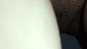 european pornstar puttana strips solo in toilet for teasing close-up