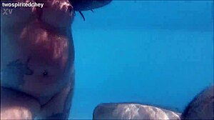 Poolside holiday threesome teases into wet pussy licking and big cock action