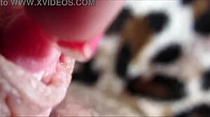 velkej klitoris jí pulzuje v orgasmu zblízka!