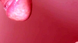 pov closeup: fuck my hot japanese wife while i watch