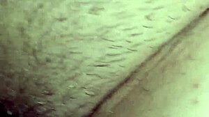 european pornstar puttana strips solo in toilet for teasing close-up