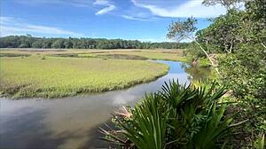 skinny blonde wife jerks biker cock outdoor then orgasms in forest pov?