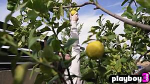 perfect big ass teen hayli sanders, wanna see that skirt drop for her posing reveal?