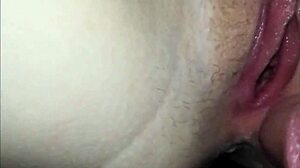 30 dripping creampie blasts filling hot pussies! 💦🍆