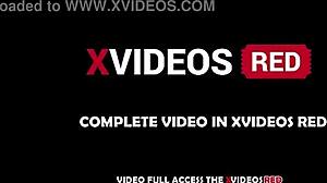 that drunk hung black stranger forced his massive cock deep while i screamed full vid