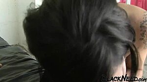 Želim velik črn kurc, ki pasje nabija mojo mokro pisarniško rit