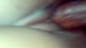 black girlfriend's small tits bounce on thick cock