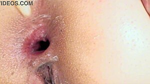 I'm fucking this big tits latina anal-only till cum in mouth