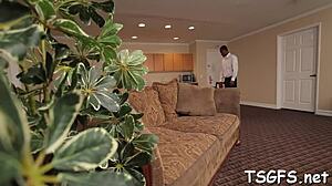 imagine that hot tranny sucking cock after assfucking massage