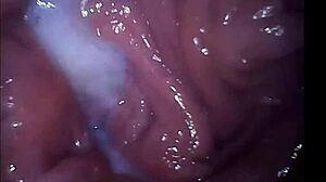 Girl Cums Filmed Inside Vagina Close-Up View