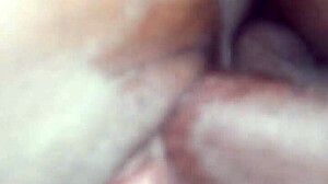 black girlfriend's small tits bounce on thick cock