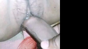 young horny couple fucks raw pussy homemade no condom cuckold style