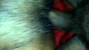 Pretty Jamaican Ellie Grunts Loud From Every Deep Fat Pussy Thrust