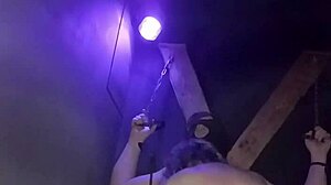 maitresse kantalis caged club carcan bdsm humiliation 2025