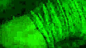 Beach Coed Glasses Teen Fucked Casual Cumshot Porn