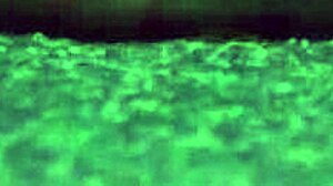 naughty young babe rides stepgrandpa cowgirl in bed