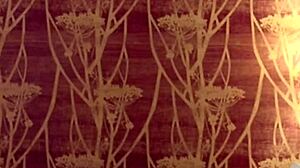 wanna kiss this hot bbw's big tits and ass?