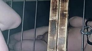 maitresse kantalis caged club carcan bdsm humiliation 2025