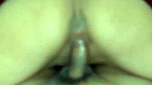 fan's leche drained by her wet latina sentones