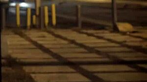 that extreme bdsm milf domination hits hard unless you're digging sixties earth vibes